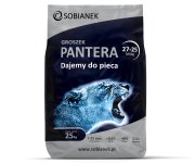 pantera  (Kopiowanie).jpg